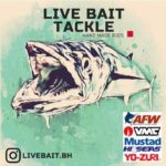 Live bait/ لايف بيت